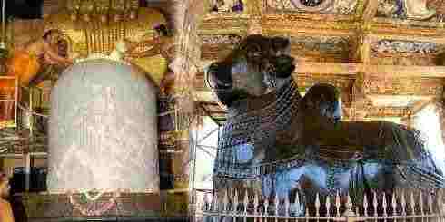 Thanjavur Big Temple Nandi
